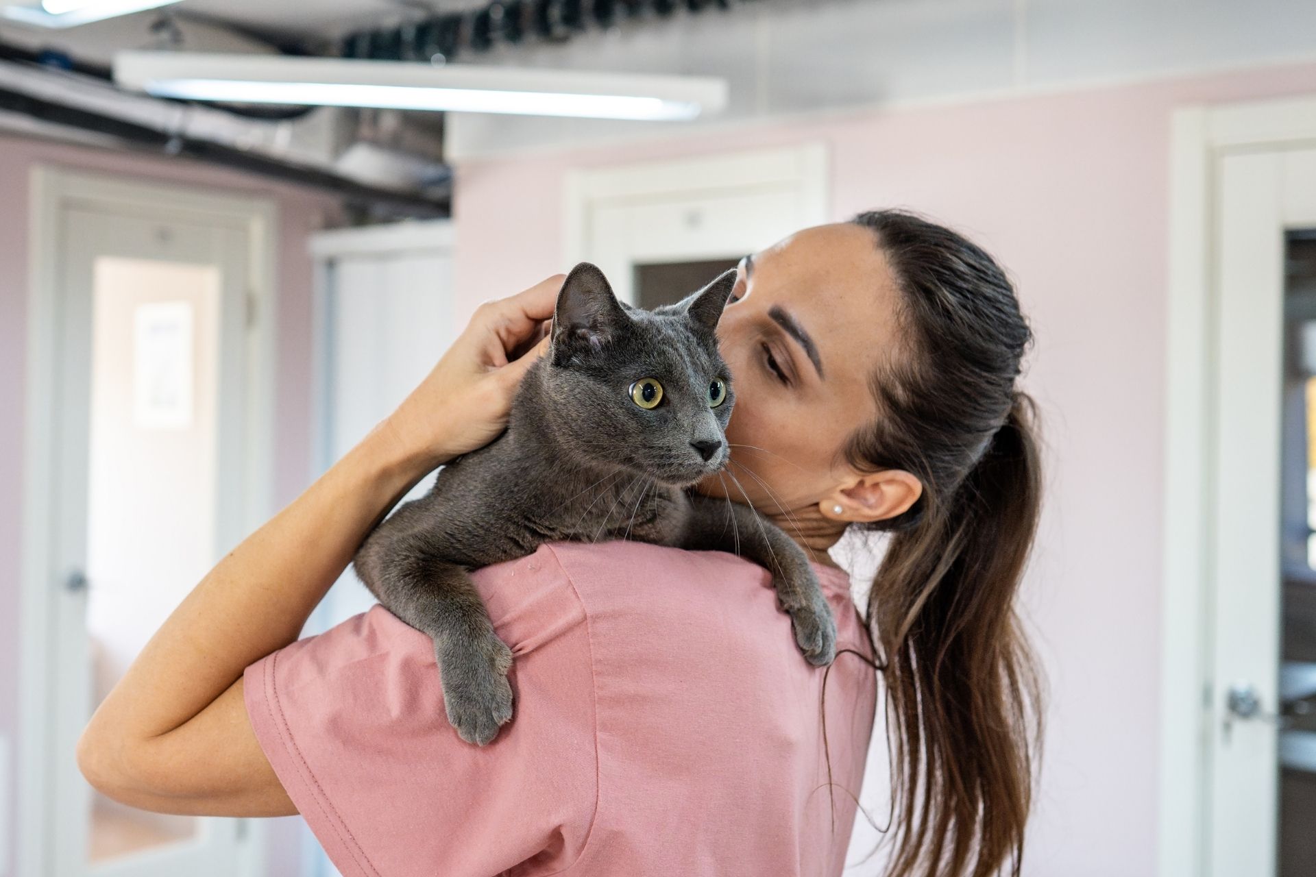 Woman holding gray cat
